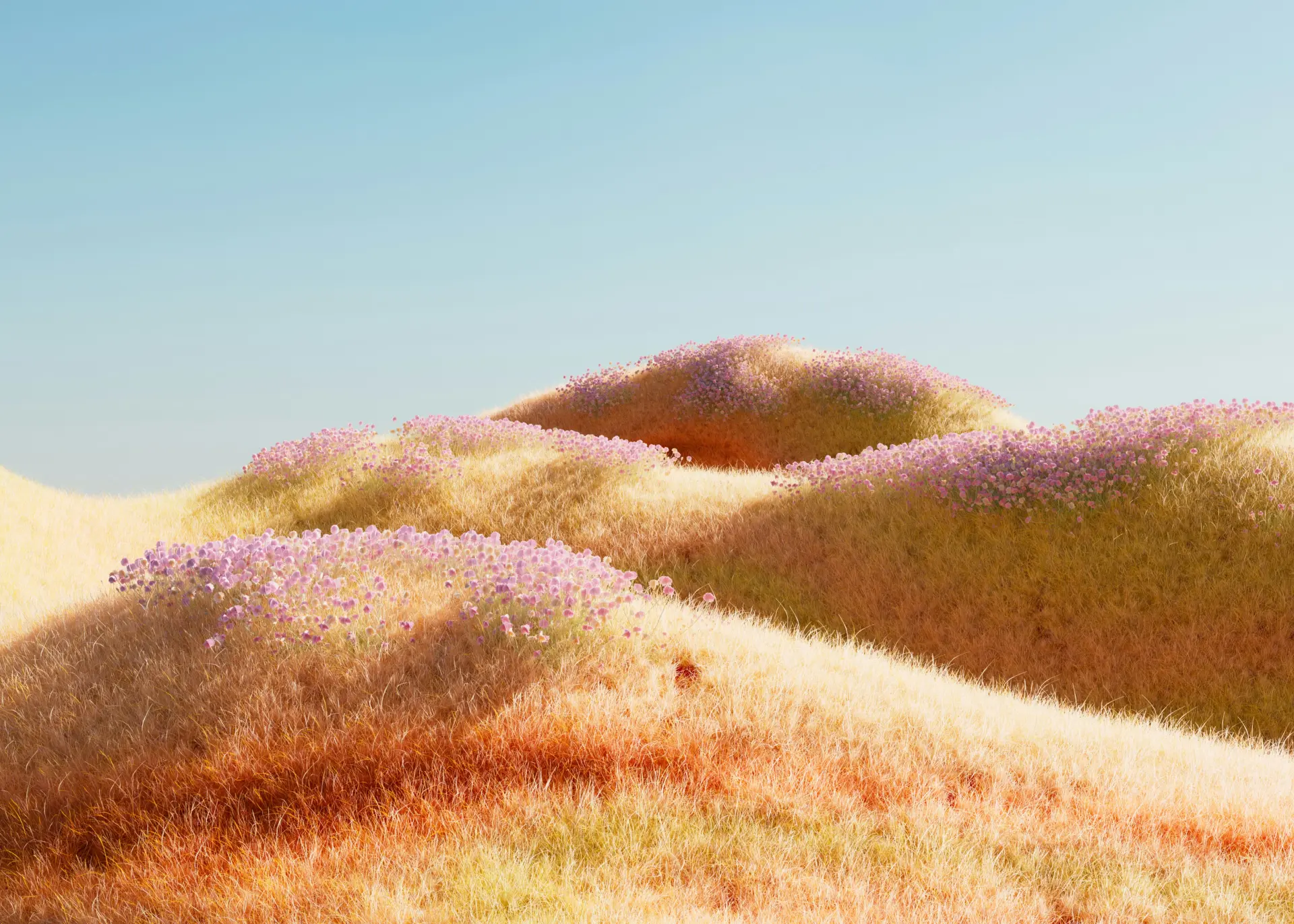Background 24
